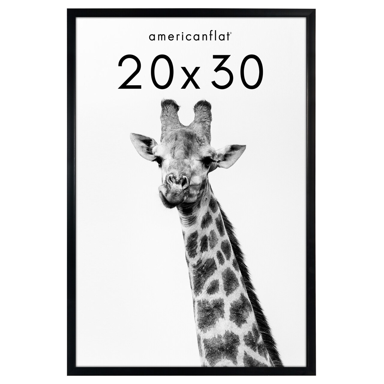 Americanflat Gallery-Style Picture Frame - Ideal Frame for Gallery Wall Display - Showcase Artwork, Prints, and Photos - Shatter Resistant Glass - Hanging Hardware with Drywall Anchor